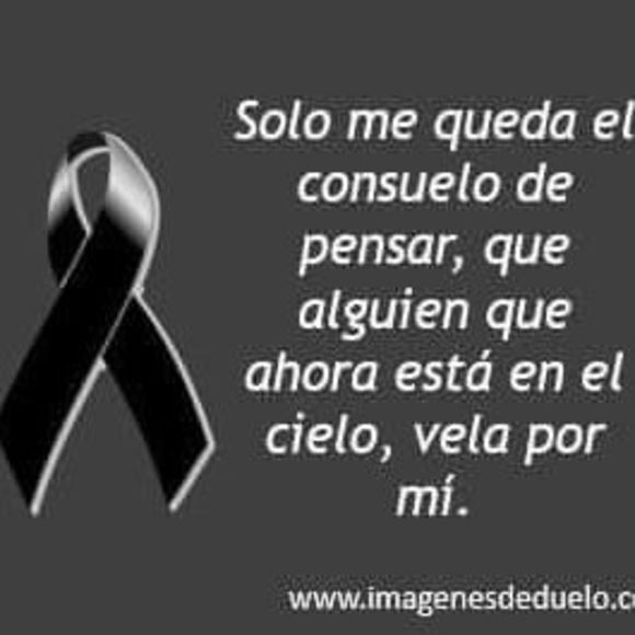 bertaavelar45